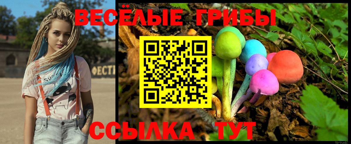 Псилоцибиновые грибы мицелий  Вход с VPN  Кизилюрт 